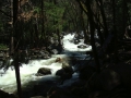 Yosemite NP